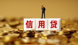 深圳20哪有个人借贷-深圳20小额贷款公司-深圳20私借空放免费上门